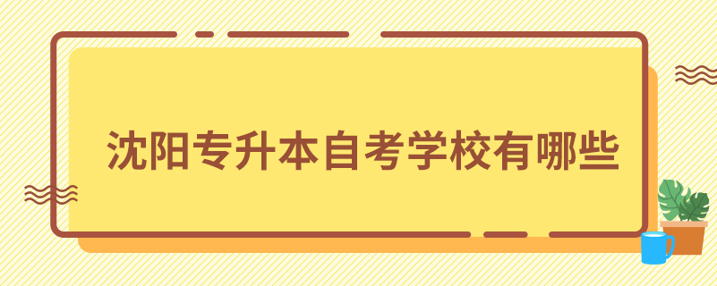 沈阳专升本自考学校有哪些