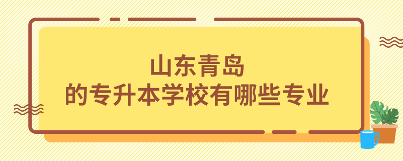 山东青岛的专升本学校有哪些专业