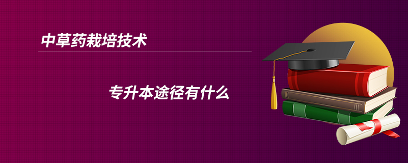 中草药栽培技术专升本途径有什么