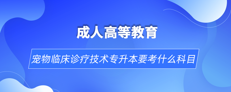 宠物临床诊疗技术专升本要考什么科目