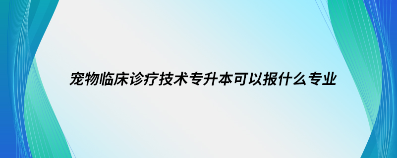 宠物临床诊疗技术专升本可以报什么专业