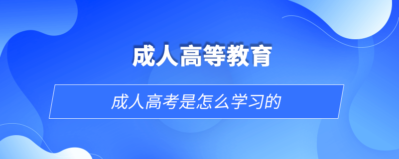 成人高考是怎么学习的