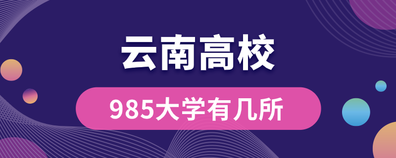 云南985大学有几所