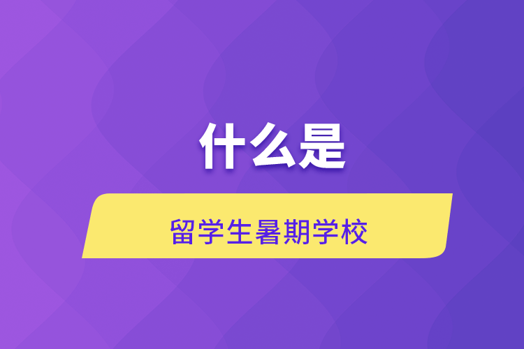 什么是留学生暑期学校