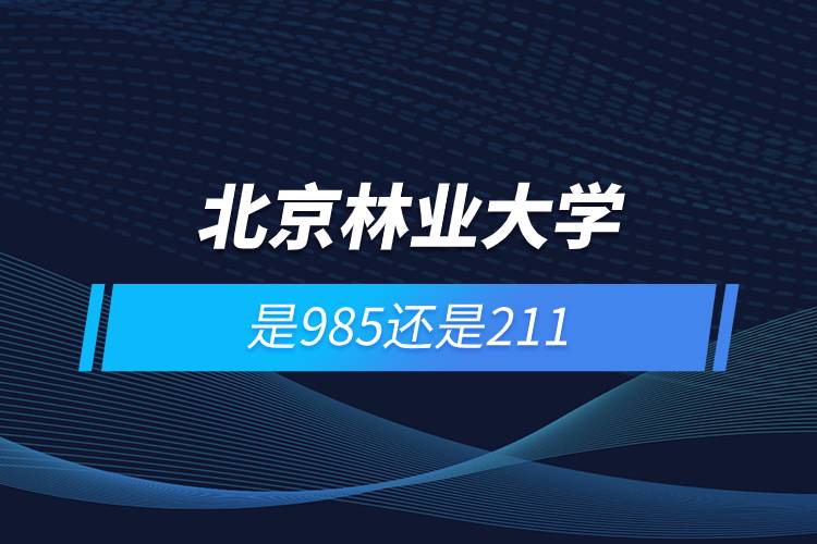 北京林业大学是985还是211