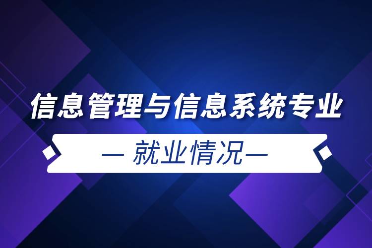 信息管理与信息系统专业就业情况