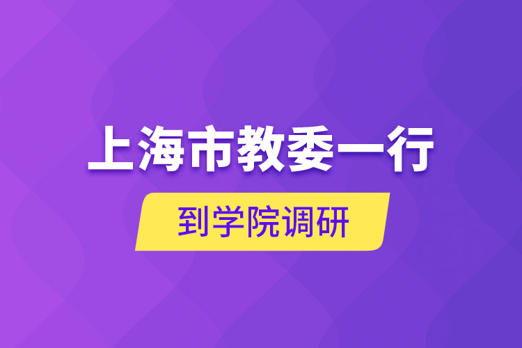 上海市教委一行到学院调研