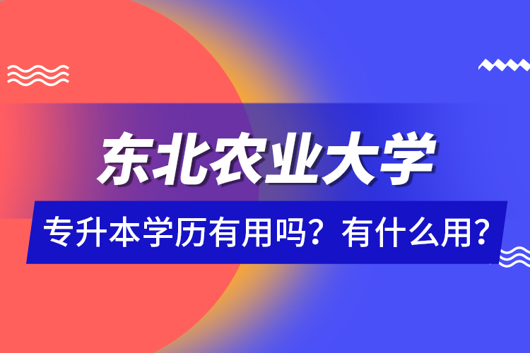 东北农业大学专升本学历有用吗？有什么用？