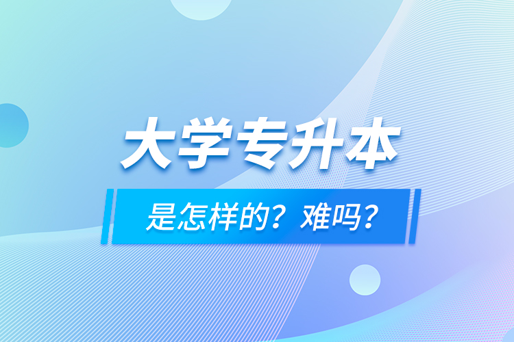 大学专升本是怎样的？难吗？