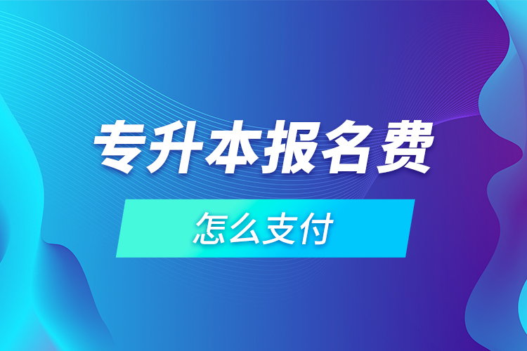 专升本报名费怎么支付