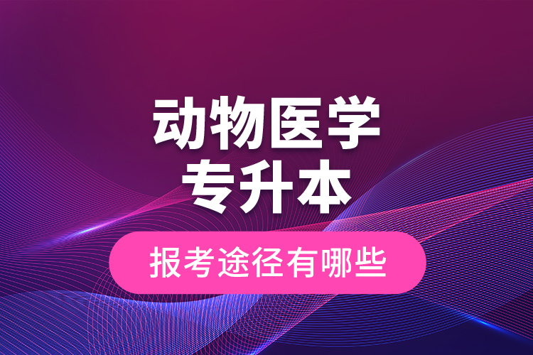 动物医学专升本的报考途径有哪些？