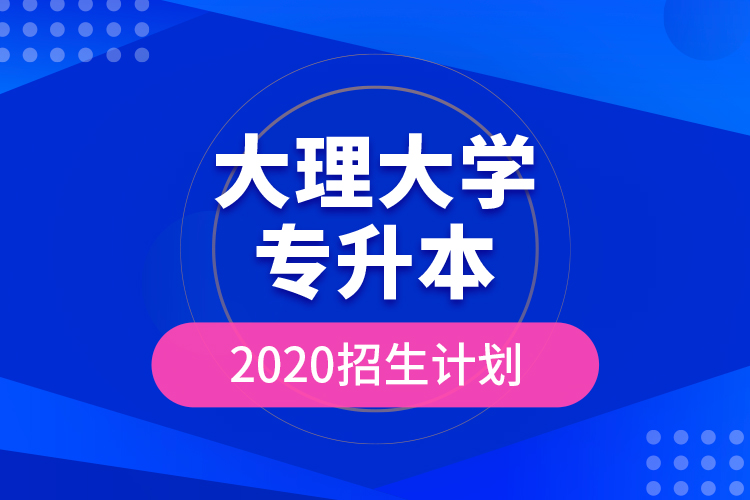 大理大学专升本2020招生计划