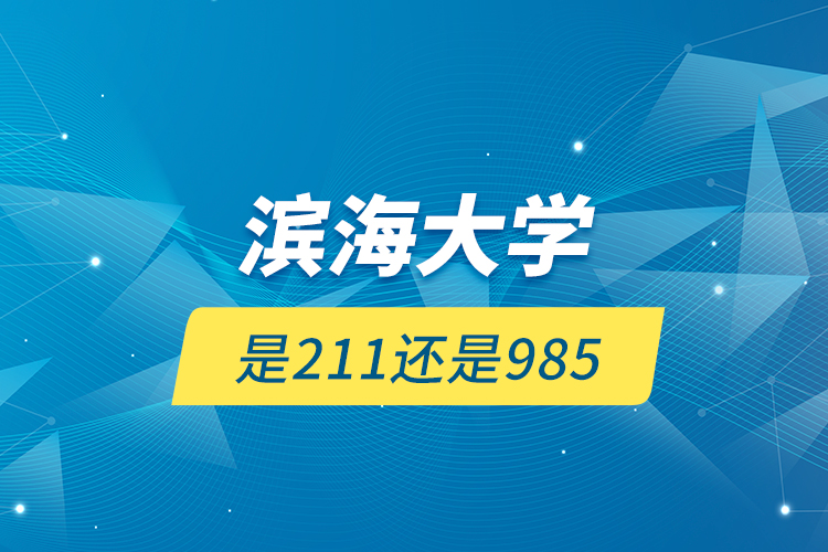 滨海大学是211还是985