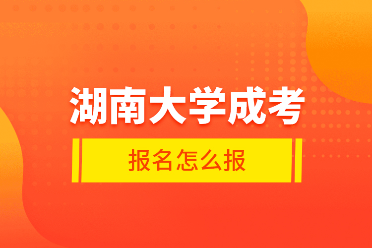 湖南大学成考报名怎么报